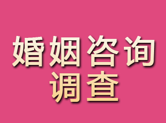 莆田找人指南：有效寻人技巧与侦探服务推荐