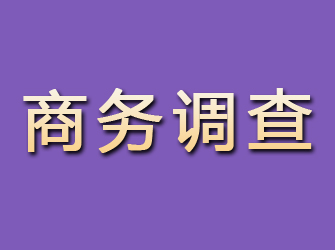 莆田找私家侦探调查行踪要多少钱？全面了解费用结构与影响因素